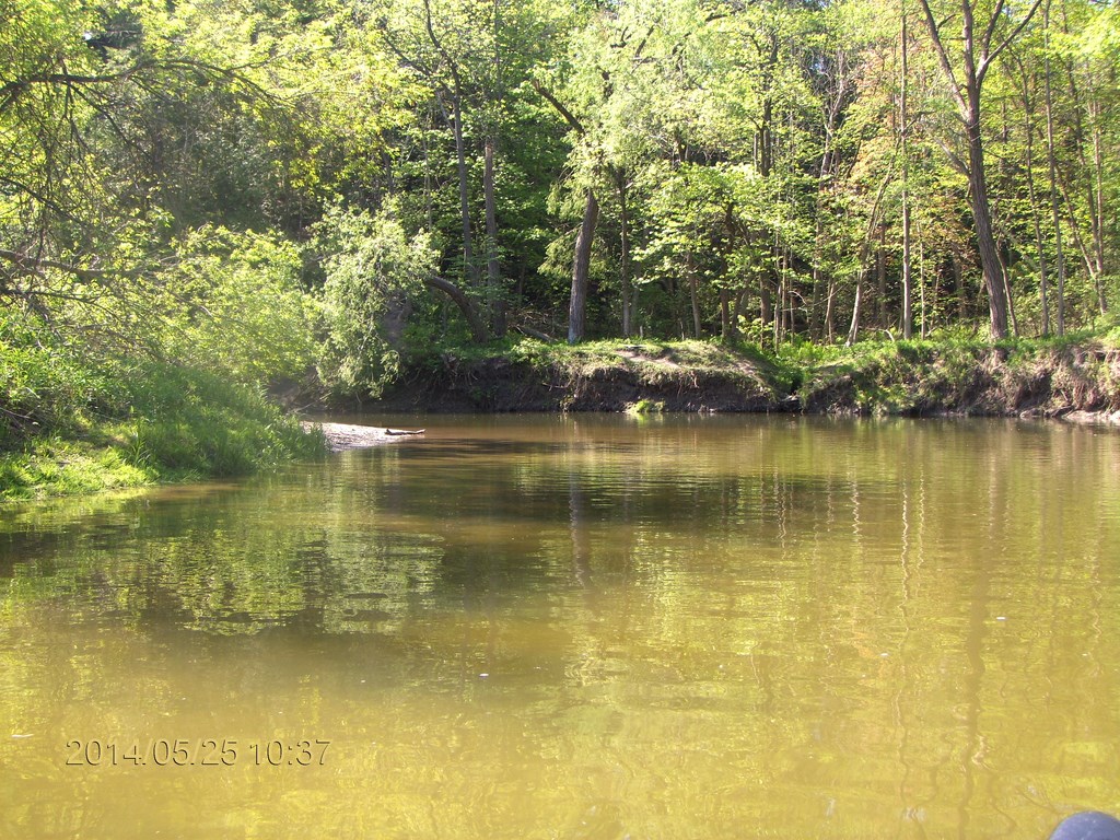 Christopher Greaves Rouge River_HPIM7283.JPG